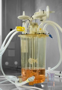 Figure 2: Single-use bioreactor vessels at 2 L vs. 15 mL scale.