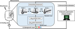 Scheme of the metabolic cybergenetic framework. Obtained from https://doi.org/10.1002/bit.28575.