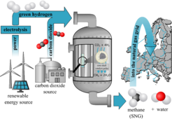 Schematic overview of Ronny Zimmermanns research