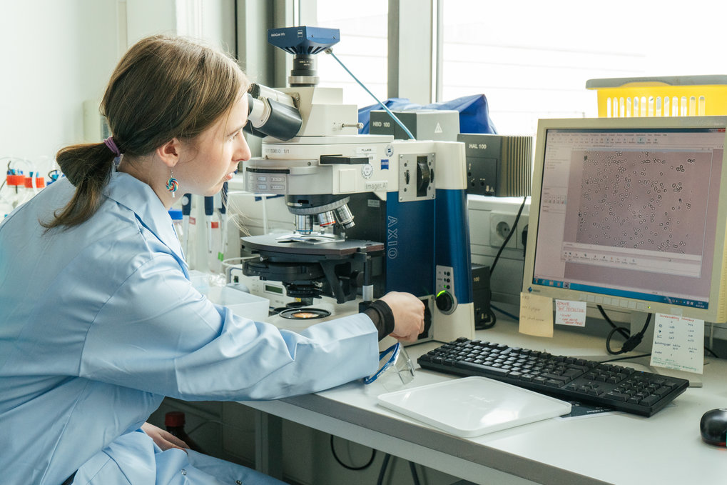 Nanostrukturierte Systeme