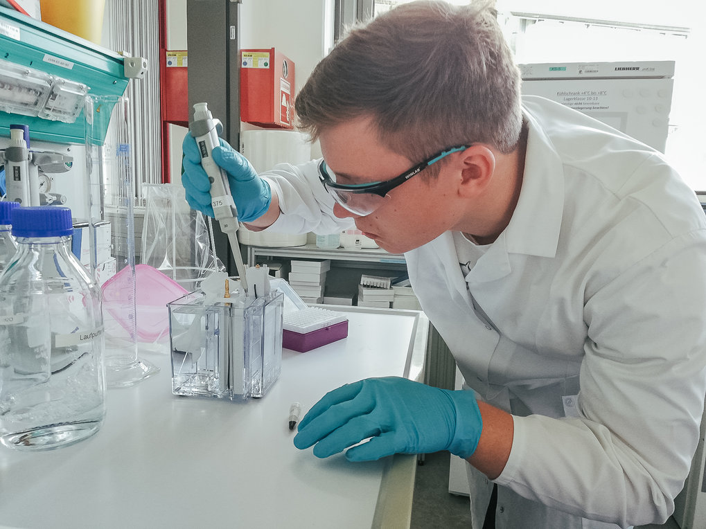 Antikörper und Enzyme