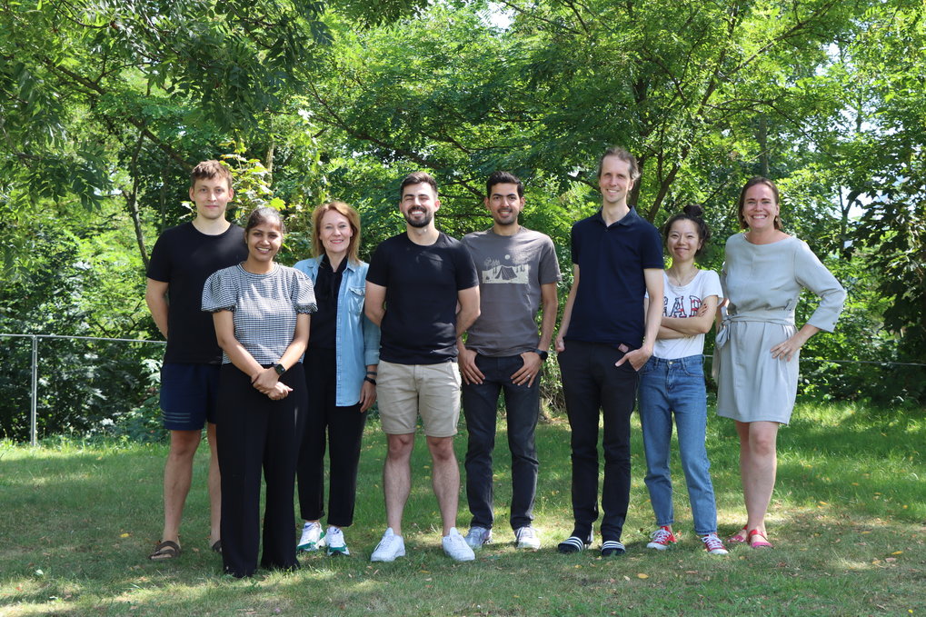 Members of the DMP Group