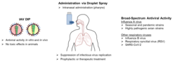 Fig. 1: Concept of DIP administration for antiviral treatment.