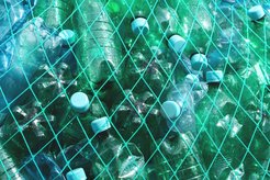 Grünlich schimmernde Plastikflaschen mit hellgrünen Deckeln, dicht gepackt in einem Netz aus grünen Fäden.