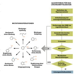 Diagramm für Lösungsmitteldesign: Definiert Hyperparameter, initiiert Lösungsmittelauswahl, prognostiziert Ligninlöslichkeit, wählt Lösungsmittel, führt Mutationen durch, überprüft molekulare Beschränkungen und Zielkriterien. Bei den Mutationen sind diverse chemische Operationen möglich, von Bindungsspaltung und -knüpfung, über Entfernung, Ergänzung oder Austausch eines Atoms bis hin zur Ergänzung einer funktionellen Gruppe.