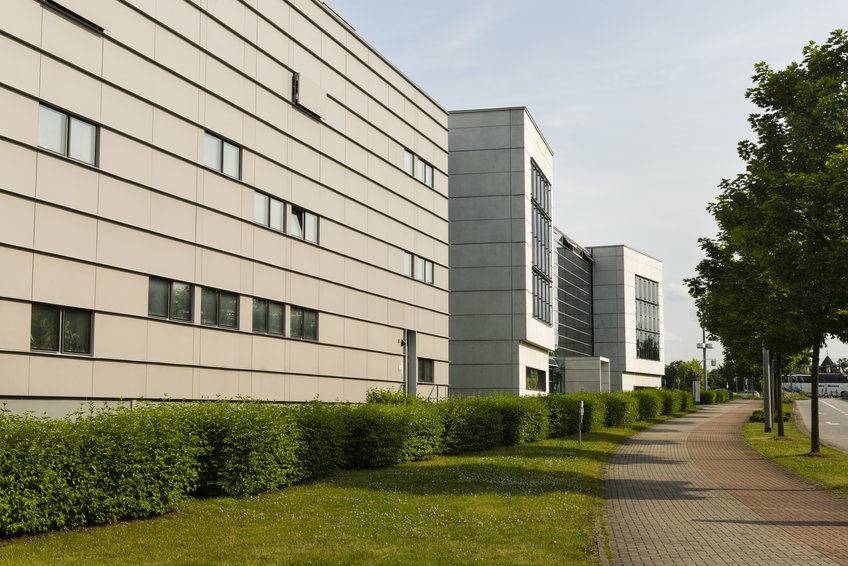 Über das Institut Über das Institut
