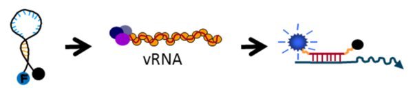 Development of a Multiplex Analysis for the Optimization of Cell-Culture-Based Vaccine Production