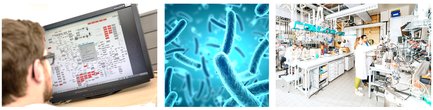 Fachgruppe: Analyse und Redesign biologischer Netzwerke Fachgruppe: Analyse und Redesign biologischer Netzwerke