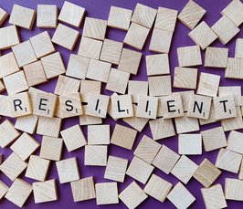 Resilience Training for Researchers Resilience Training for Researchers