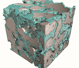 2nd Symposium on Insights into Gas Diffusion Electrodes: From Fundamentals to Industrial Applications 2nd Symposium on Insights into Gas Diffusion Electrodes: From Fundamentals to Industrial Applications