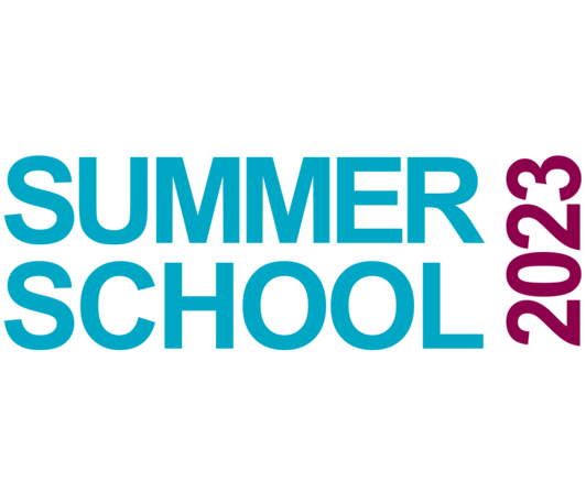 8th IMPRS Summer School: Sustainable Energy Systems