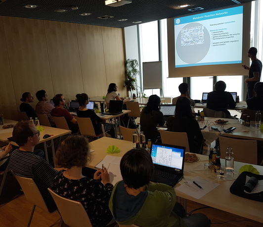 deNBI-Workshop: Tools for systems biology modeling and data exchange: CellNetAnalyzer/CNApy, COPASI, SABIO-RK, FAIRDOMHub/SEEK deNBI-Workshop: Tools for systems biology modeling and data exchange: CellNetAnalyzer/CNApy, COPASI, SABIO-RK, FAIRDOMHub/SEEK